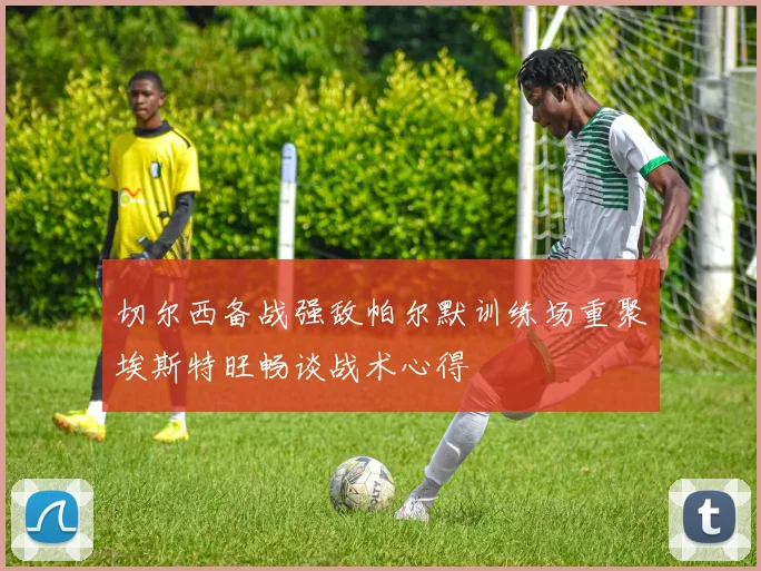切尔西备战强敌帕尔默训练场重聚埃斯特旺畅谈战术心得