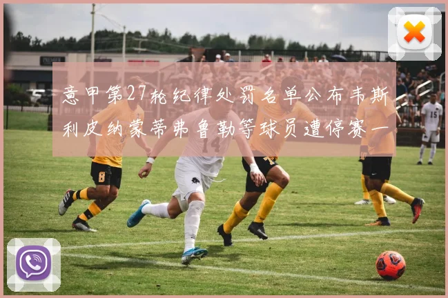 意甲第27轮纪律处罚名单公布韦斯利皮纳蒙蒂弗鲁勒等球员遭停赛一轮