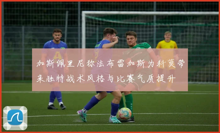加斯佩里尼称法布雷加斯为科莫带来独特战术风格与比赛气质提升