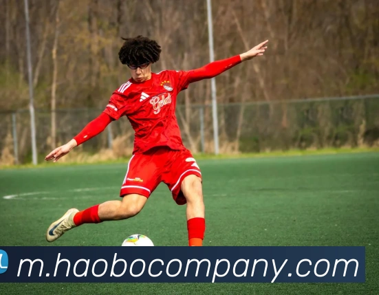 App Interface Preview