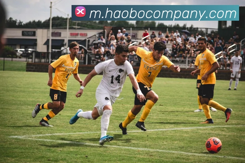 数据防护可视化