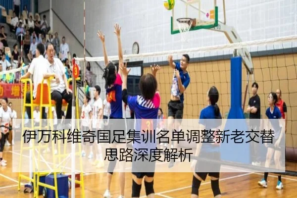 伊万科维奇国足集训名单调整新老交替思路深度解析（HaoBo）